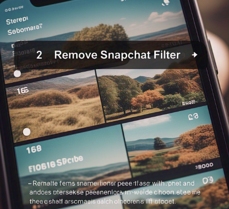 remove snapchat filter from photo​